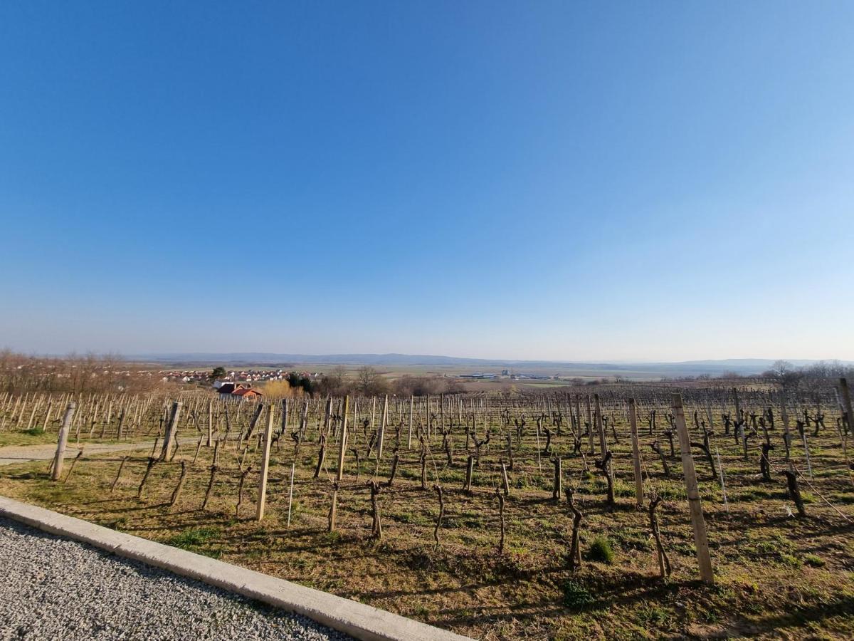 Villa Kuca Za Odmor Baron Kutjevo Exterior foto