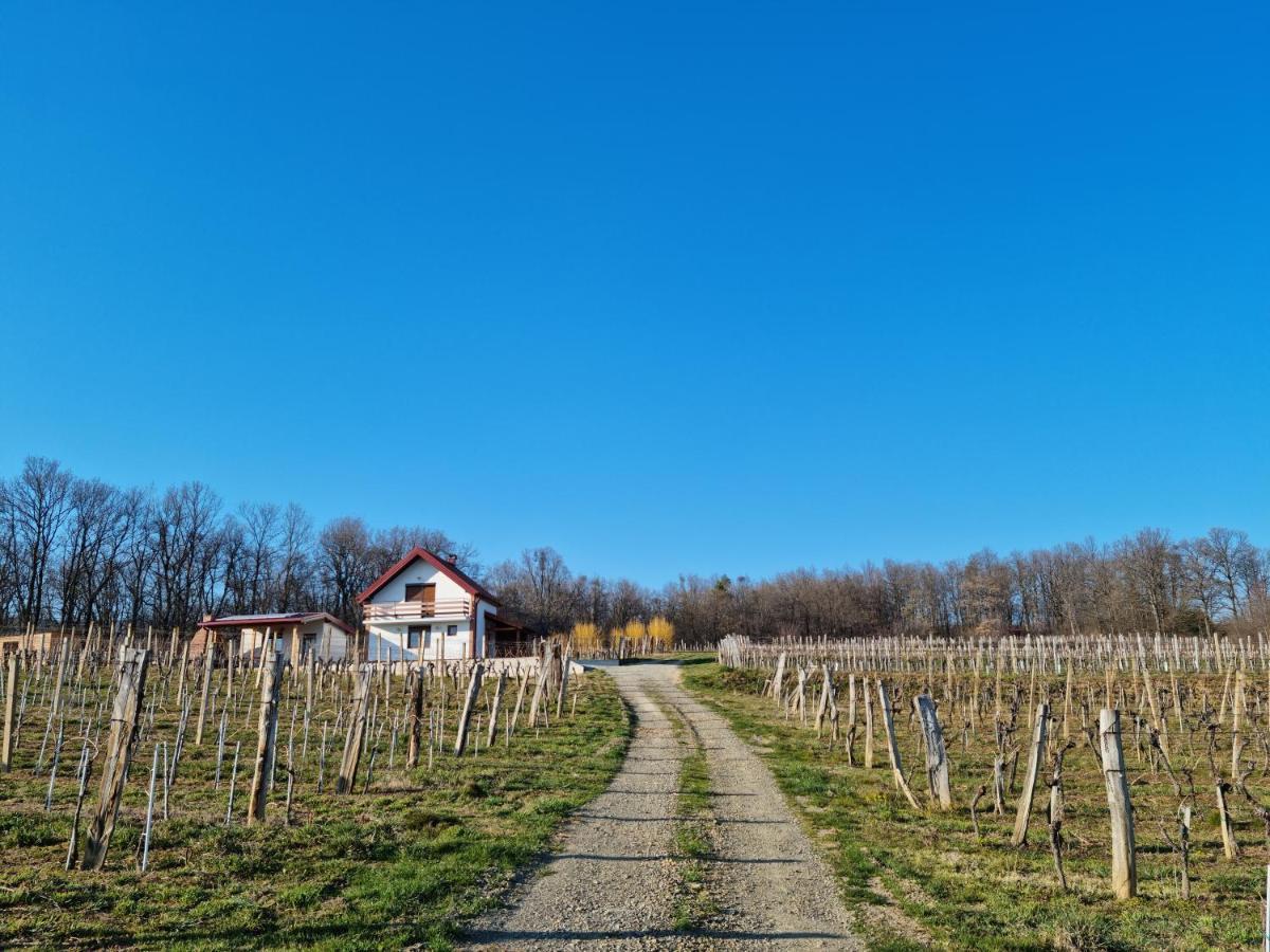 Villa Kuca Za Odmor Baron Kutjevo Exterior foto