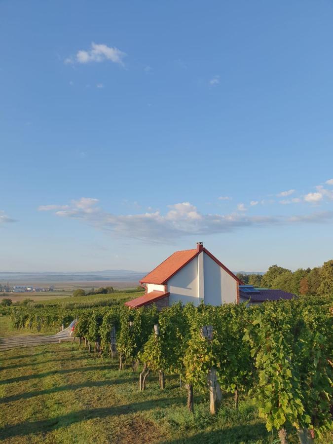 Villa Kuca Za Odmor Baron Kutjevo Exterior foto