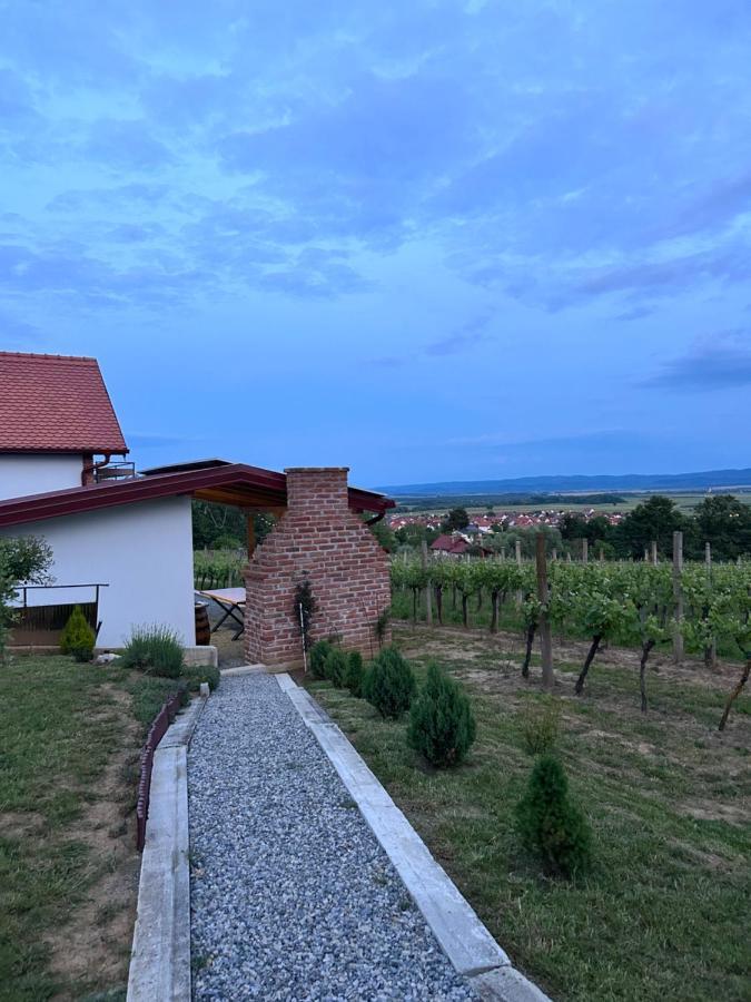 Villa Kuca Za Odmor Baron Kutjevo Exterior foto